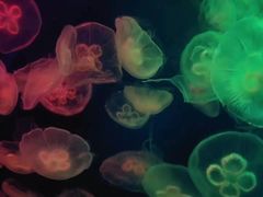 -石林冰雪海洋世界