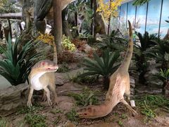 -湖南省地质博物馆