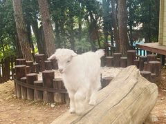 -杭州千岛湖开元度假村