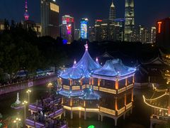 -绿波廊七号(豫园新路店)