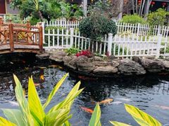 -聚福宝合苑食府(南头镇店)