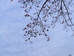 -晓港公园