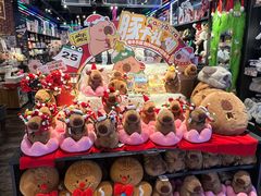 -酷乐潮玩(金桥国际店)