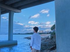 -宝安西湾红树林湿地公园