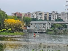 -荔湾湖公园
