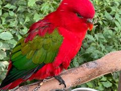 -南宫五洲植物乐园