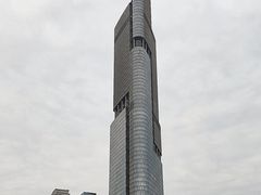 -紫峰大厦