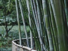 -汇龙潭