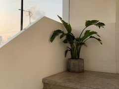-青梅酒肆PLUS(长白仙岛北路店)