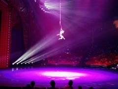 -珠海横琴长隆《卡卡虎奇遇记》