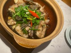 -大榕树下顺德菜(融创茂店)