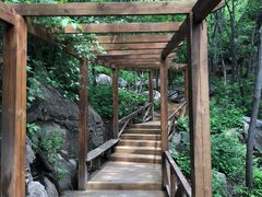 -大岭沟猕猴桃谷风景区