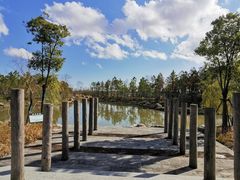 -春花秋色城市公园