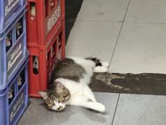 -邢老三(太白南路店)
