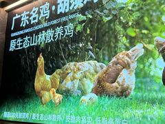 -野·大山里野生菌石锅土鸡(益田假日店)