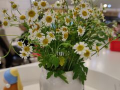 -1/4 ONE QUARTER COFFEE LAB(朝阳大悦城店)