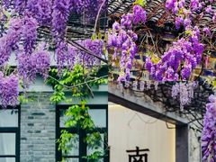 -老门东历史文化街区