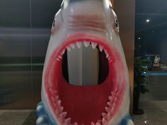 -SFC上影影城(北京大兴龙湖天街IMAX店)