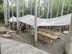 -桉树林A coffee 森林餐厅(三圣乡店)