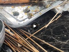-罗家巷子休闲庄自助碳烤