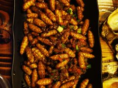 -土蚝·高压锅生蚝(百姓美食街店)