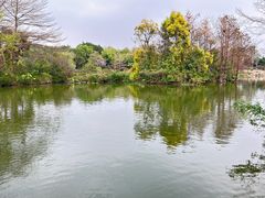 -海珠湖公园