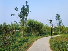-华莱士·全鸡汉堡(济南大明湖店)