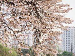 -红星桥(地铁站)