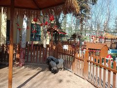 -郑州方特梦幻王国