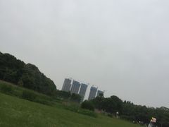 -艾溪湖湿地公园