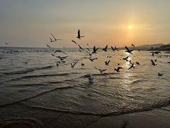 -老虎石海上公园