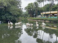-广州动物园