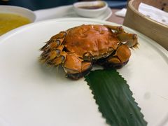 -苏小柳点心·手作小笼包(新街口分院店)