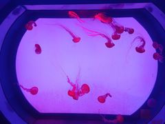 -沈阳海洋探索中心