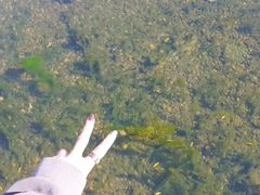 -北药泉