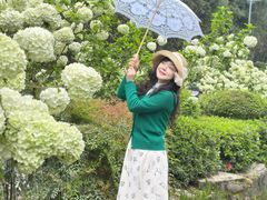 -铁山坪森林公园