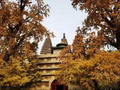 -北京石刻艺术博物馆(五塔寺)