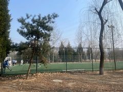 -太阳宫足球俱乐部