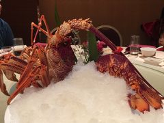 -陶陶居海鲜酒家(新马路店)