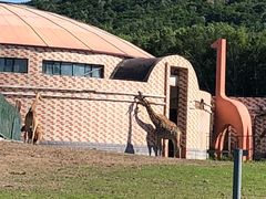 -哈尔滨北方森林动物园