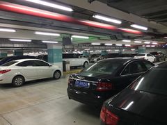 场地-上海浦东国际机场T1航站楼-P1停车场