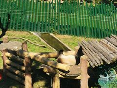 -沈阳森林动物园