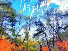 -沈阳植物园