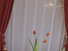 -红顶食府(滨湖九号店)