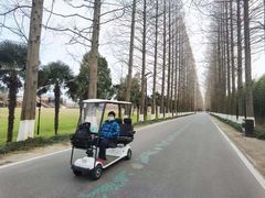 -黄海国家森林公园