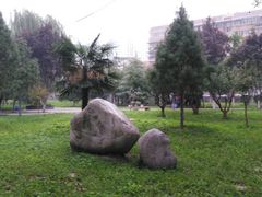 -西北大学(桃园校区)