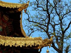 -护国法轮寺
