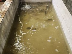 -渔遭殃鱼馆(黄桷垭店)