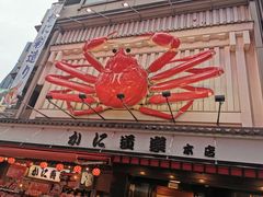 -蟹道乐(道顿堀本店)