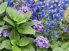 -人民公园(罗湖区)